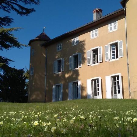 Chateau La Violette Les Marches Exterior photo